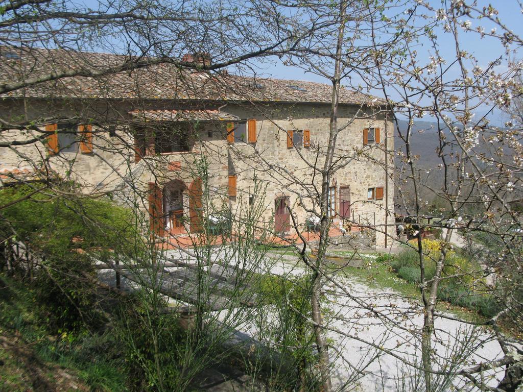 La Ghiandaia Casa Vacanza Lucolena in Chianti Стая снимка