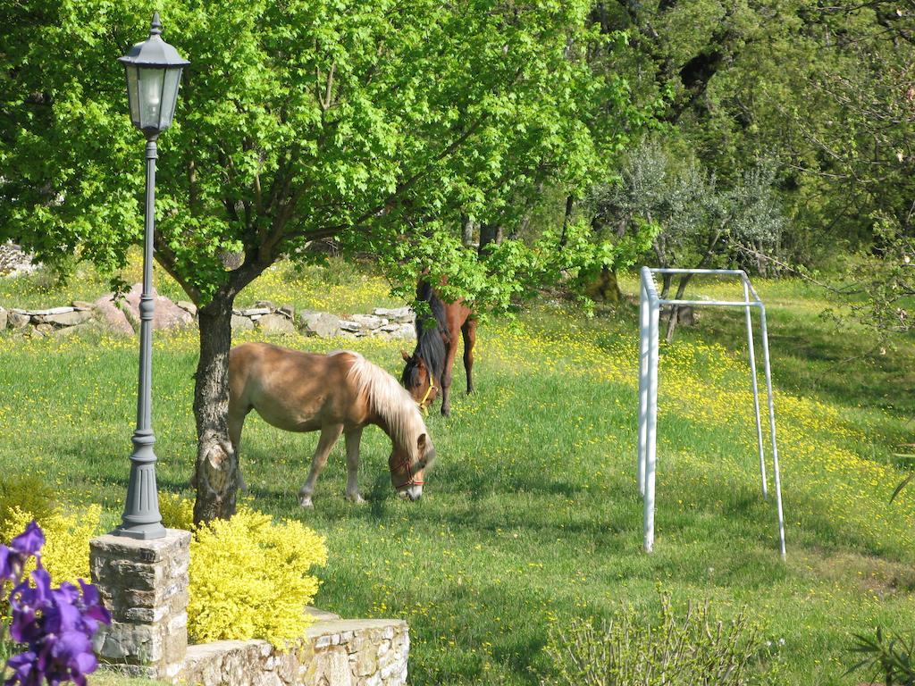 La Ghiandaia Casa Vacanza Lucolena in Chianti Екстериор снимка