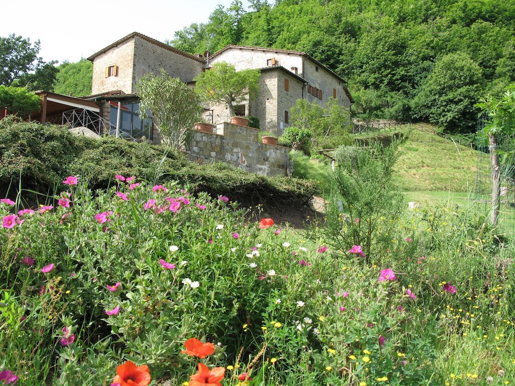 La Ghiandaia Casa Vacanza Lucolena in Chianti Екстериор снимка