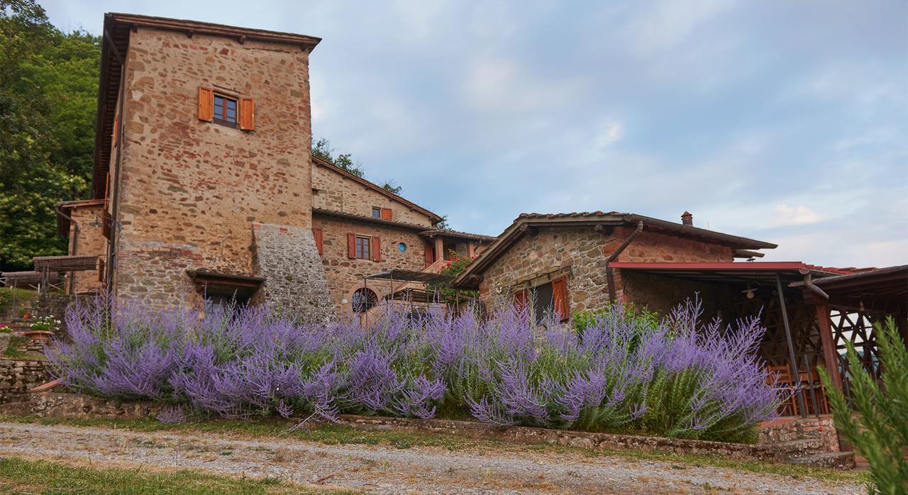 La Ghiandaia Casa Vacanza Lucolena in Chianti Екстериор снимка
